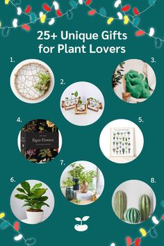 the 25 unique gifts for plant lovers