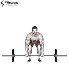 a man is squatting on a barbell with the words x - fitness above him