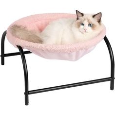 a white cat laying in a pink bed on a black metal stand with blue eyes