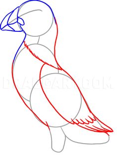 how to draw a bird with red and blue lines on it's body, side view