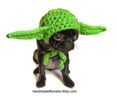 a small dog wearing a green crochet hat with the caption in spanish