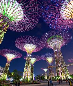 gardens by the bay at night