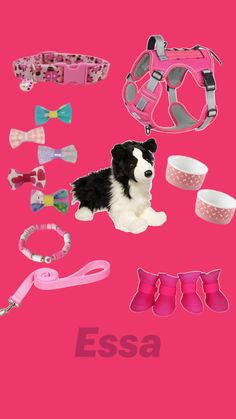 a dog is sitting next to its owner's assorted accessories on a pink background