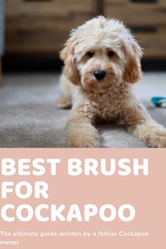 the best brush for cockapo dog hair is on display in this book cover