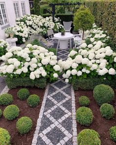 a garden with white flowers and green bushes