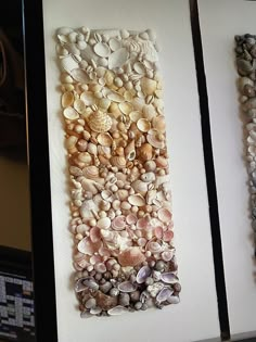 there are three paintings made out of seashells