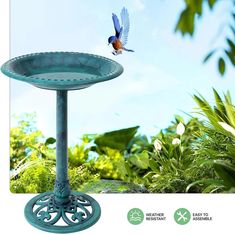 a bird bath sitting on top of a metal stand