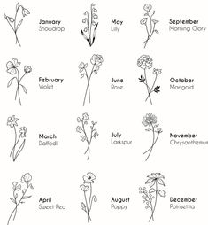 twelve months of the year with flowers in each month, and their names on them