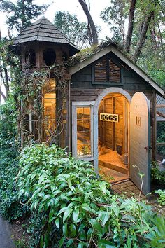 an outhouse in the woods is lit up at night