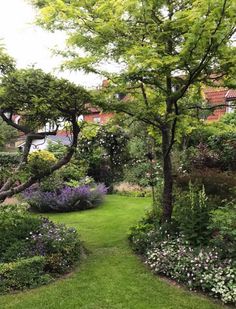 a lush green garden with lots of flowers and trees