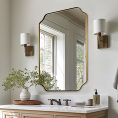 a bathroom sink with a mirror above it and a plant on the counter next to it