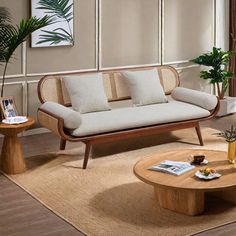 a living room with two couches, coffee table and potted plant in it