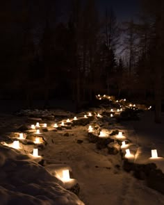 many lit candles are placed in the snow near some trees and rocks at night time