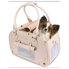 a small dog is sitting in a purse