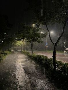 a rainy night in the park with street lights and trees on either side of the road