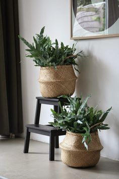 two planters sitting next to each other with plants in them