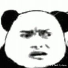 a panda bear is shown in this black and white photo with the caption's name