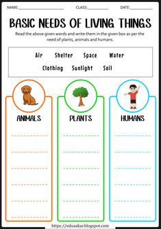 the worksheet for basic needs of living things, including an animal and plant