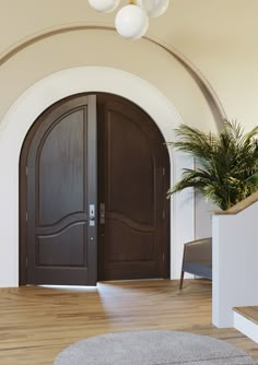 an entryway with two doors and a plant