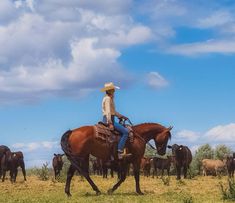 a man riding on the back of a brown horse in a field full of cows