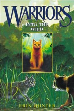 the book cover for warriors into the wild with two cats looking at each other in front of