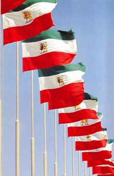 many flags are flying in the wind on poles with blue sky behind them and one flag is red, white, and green