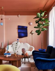 a living room filled with furniture and a potted plant