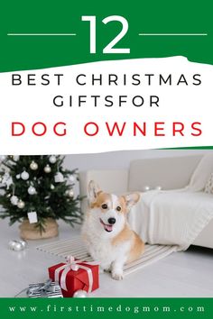 12 Best Christmas Gifts For Dog Owners - A Corgi sitting in front of a Christmas tree, with presents in front. Dog Leash Holder, Dog Rooms, Dog Images, Dog Owner, Best Christmas, Diy Dog Stuff, Best Christmas Gifts