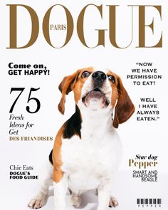 a dog sitting on top of a magazine cover