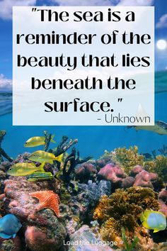 the sea is a reminder of the beauty that lies beneath the surface