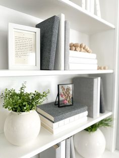 a white shelf with books and plants on it