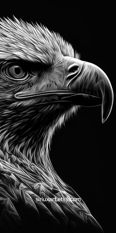 Stylish Black & White Eagle Deep Etch Digital Wallpaper Art Egal Wallpaper Hd, Stylish Wallpapers For Phone, Egal Bird Wallpaper, Black Eagle Wallpaper, Stylish Wallpapers Hd, Eagle Wallpaper Iphone, Eagle Wallpaper Hd, Iphone Cool Wallpaper, Eagle Line Art