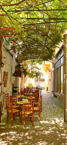 an outdoor dining area with wooden tables and chairs under a canopy covered by green leaves