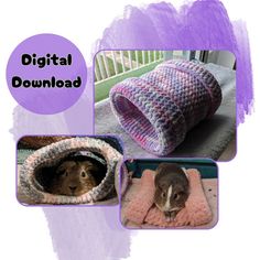 three pictures with different animals in them and the words digital download above it are photos of rabbits, blankets, and rugs