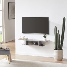 a living room with a large screen tv on the wall next to a cactus in a pot