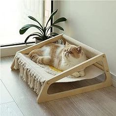 a cat laying in a pet bed on the floor