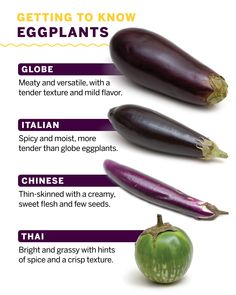 an eggplant is shown with different types of vegetables