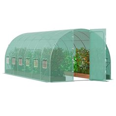 a green house with plants growing in it