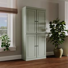 a tall green cabinet next to a potted plant in a room with hardwood floors