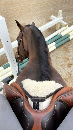 a brown horse standing next to a white fence