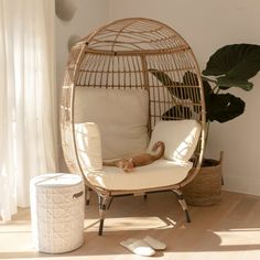 a bird cage sitting on top of a wooden floor next to a white chair and potted plant