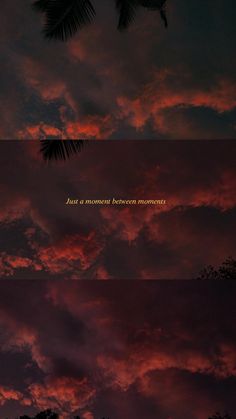 the sky is filled with pink clouds and palm trees at night, just above it are some words that say just a moment between moments