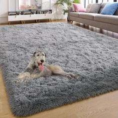 a dog laying on a shaggy rug in a living room