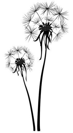 two dandelions are shown in black and white