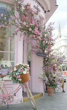 a pink bicycle with flowers in the basket parked on the sidewalk outside of a flower shop