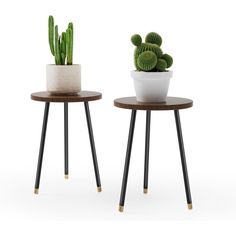 two small tables with plants on them and one has a potted cactus in it