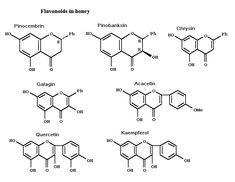 the structure and formulas of flanoids in honey