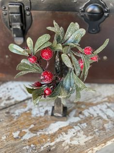 a close up of a plant with leaves and berries in a vase on a wooden table