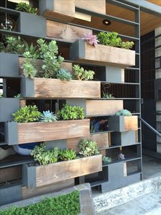 several wooden boxes filled with succulents and plants on the side of a building