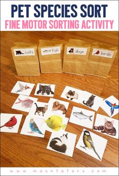 four bags filled with pictures of birds and other animals on top of a wooden table